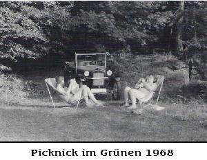 picknick im grünen